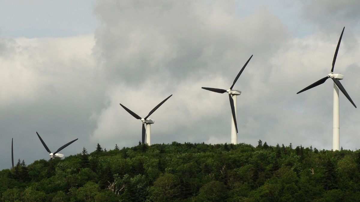 Voorlopig geen windmolens in Reichswald