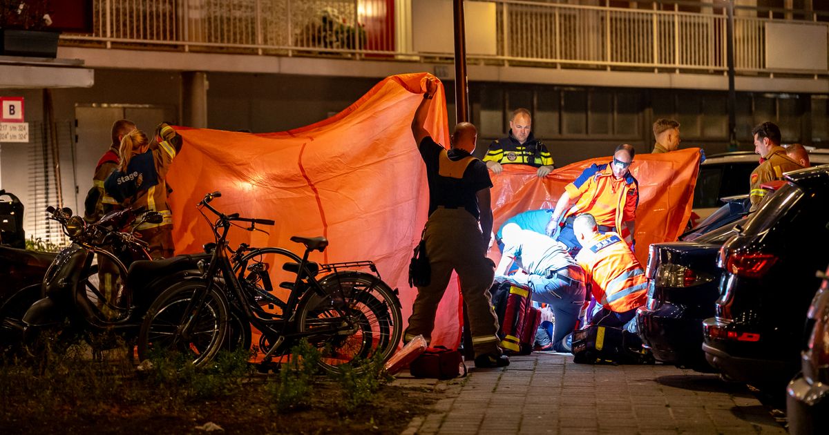 Rotterdammer Stabbed to Death in Schiedam