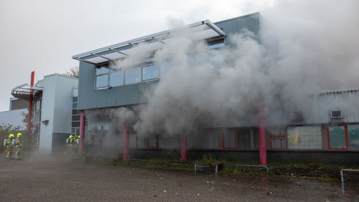 Schizofrene Onur stak levenswerk kunstenaars in brand: ‘Ik werd met de