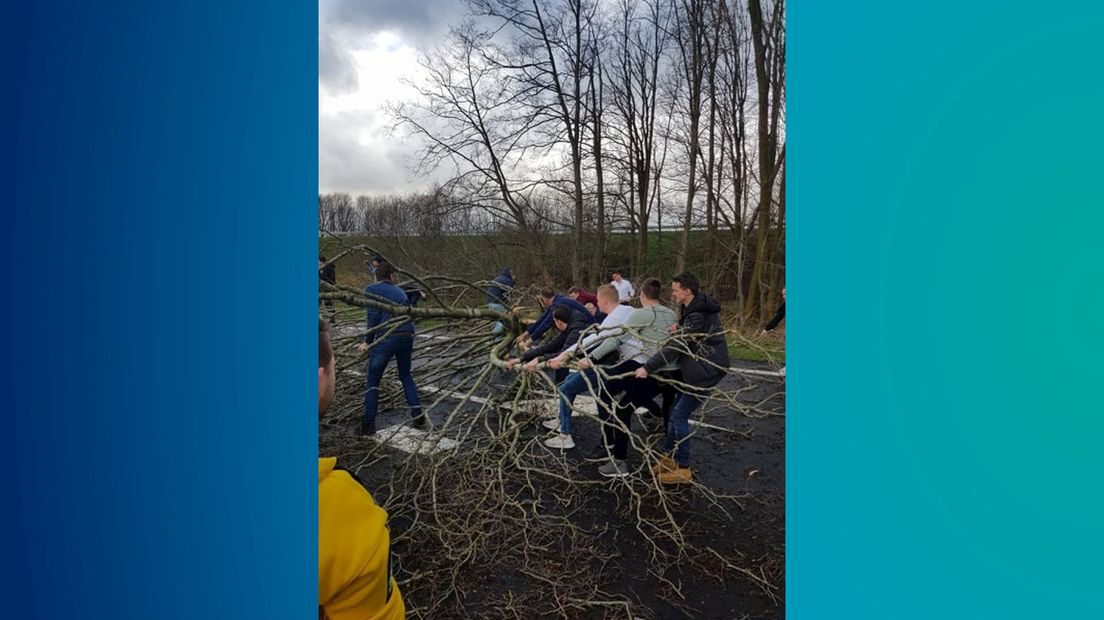 FC Twente supporters vinden boom op de snelweg