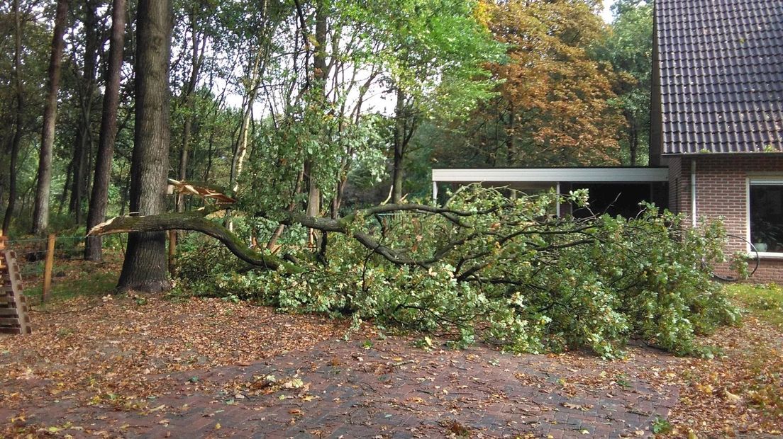 Vallende boom mist woonhuis in Stegeren