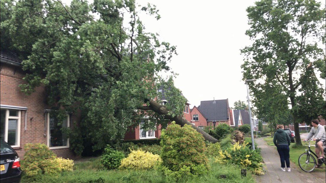 Het huis van Freerk Jan Dijk werd geraakt door een omgevallen boom (Rechten: RTV Drenthe/Marjolein Knol)