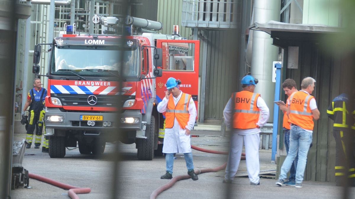 Productie bij Aviko Lomm wordt deels hervat