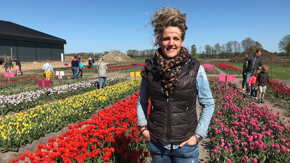 Ilse van der Gun in de Drentse Tulpenpluktuin