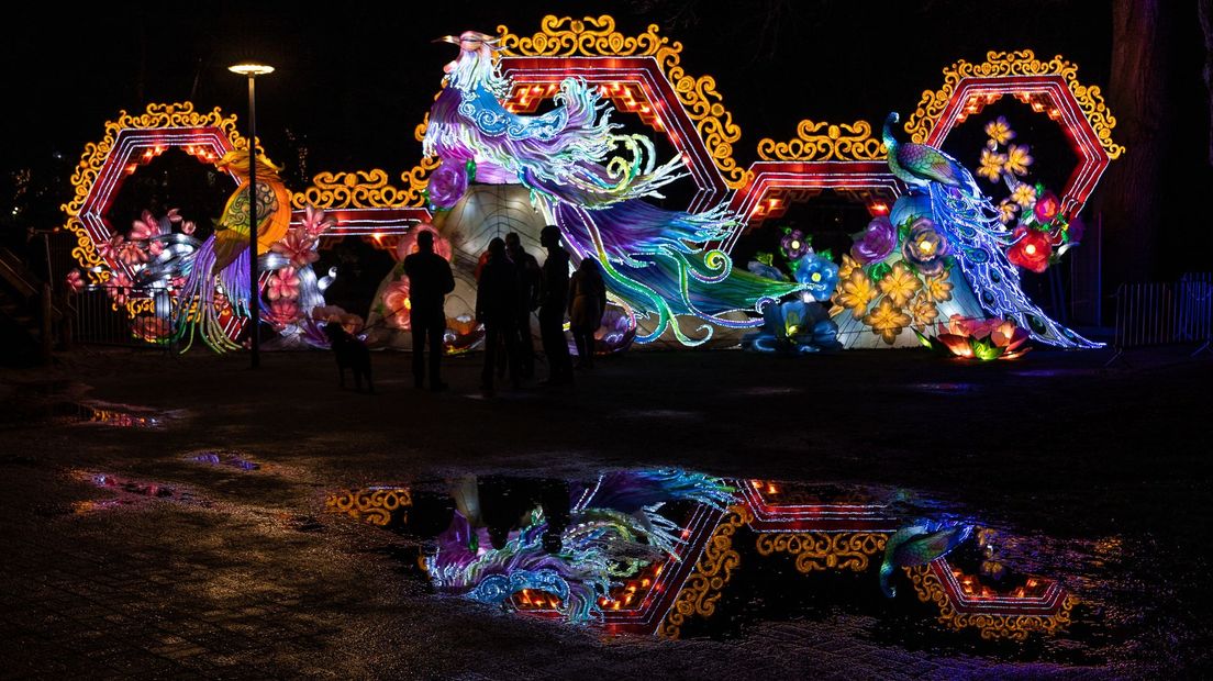 China Lights