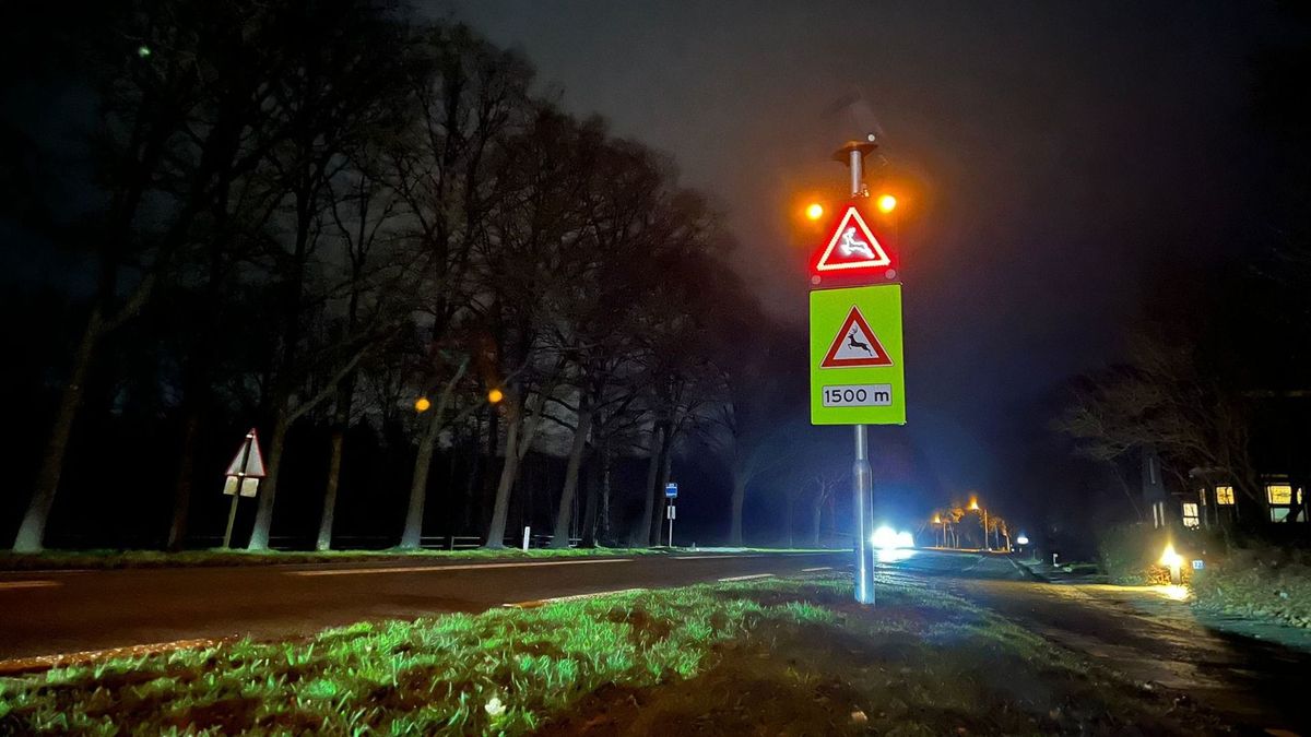 Borden aan Schoterlandseweg waarschuwen verkeer voor overstekende damherten