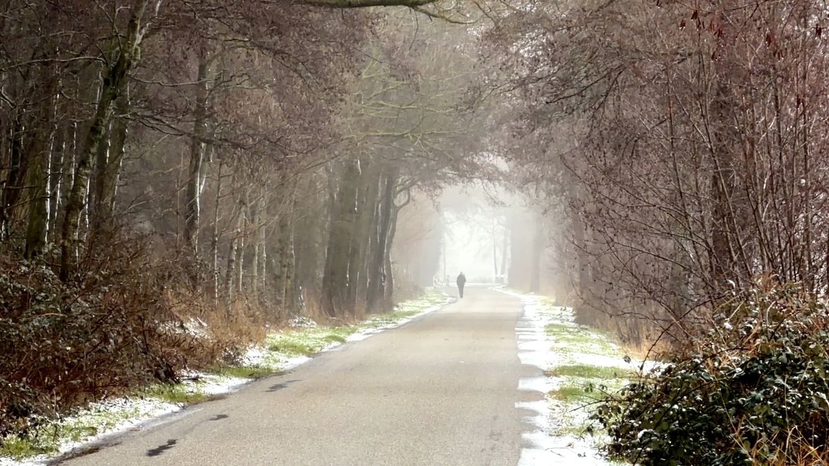 Na bijna dertig jaar komt er een fietspad tussen Tytsjerk en Hurdegaryp