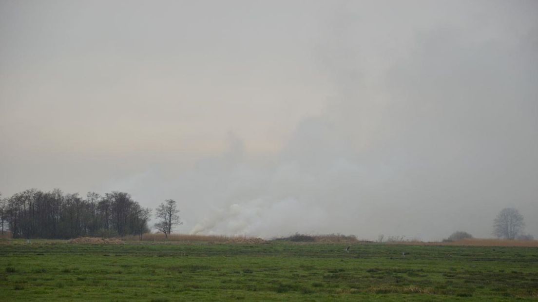 Flinke rookwolken bij veenbrand in Wanneperveen