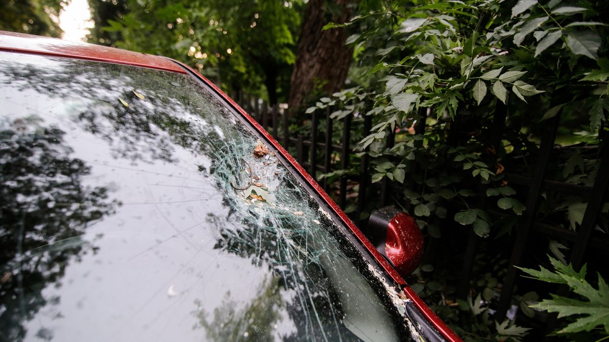 Man krijgt taakstraf voor crash tegen boom terwijl hij achter het stuur wordt bevredigd