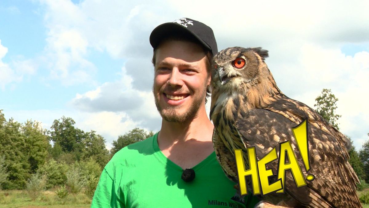 Milan weet alles over roofvogels en droomt van een eigen kleine dierentuin