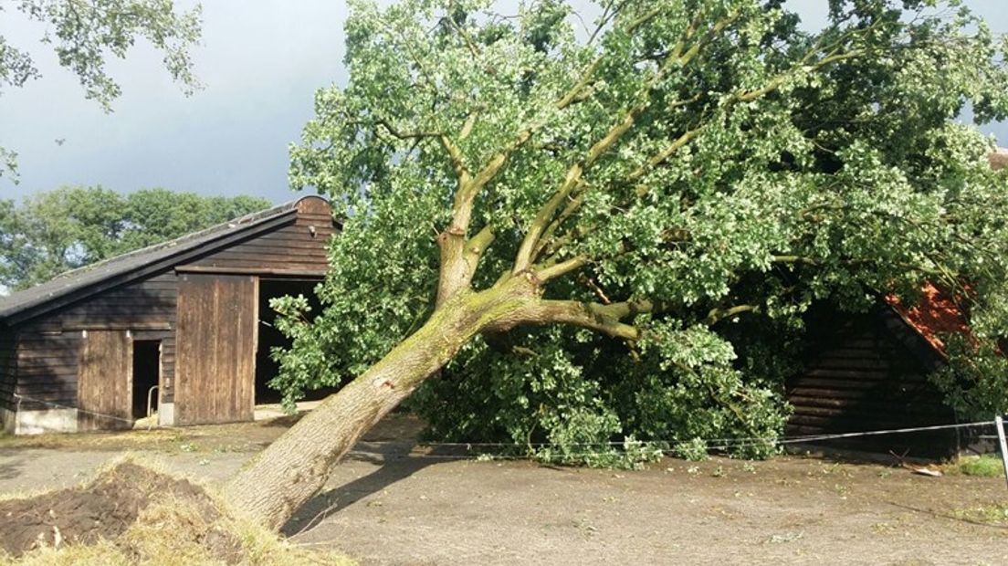 De komende dagen kan pas de schade worden opgemaakt van de windhoos die zondagochtend rond 09.00 uur in Nijkerk pannendaken teisterde en bomen ontwortelde.