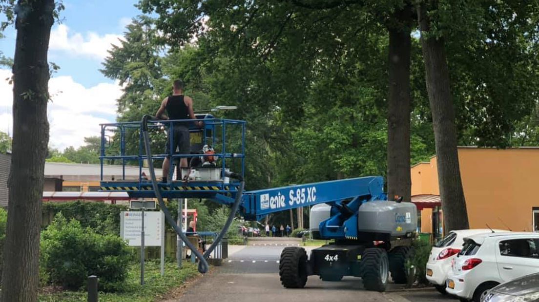 Deze foto deed stof opwaaien: bestrijder in korte broek aan het werk