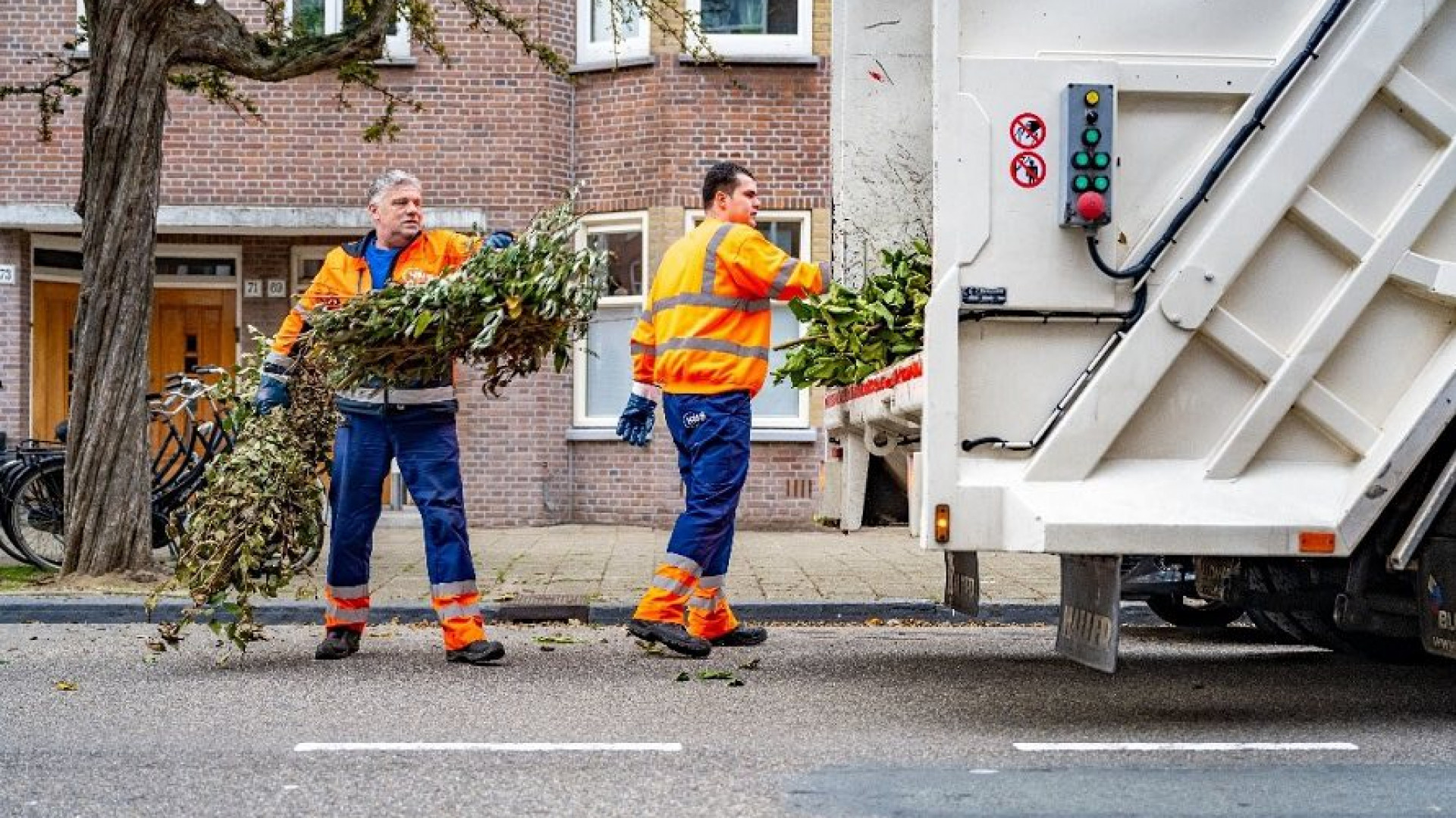 Laat Grote Takken En Snoeihout Gratis Ophalen Tijdens Haagse ...