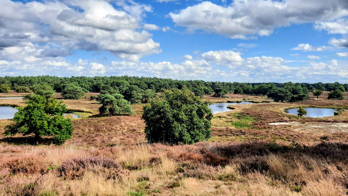 Limburg Kiekt: Afferden, Swalmen, Schin op Geul en...
