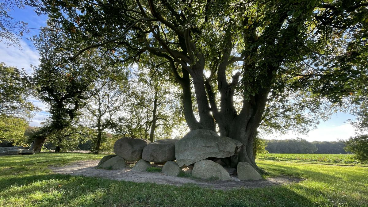 Wandel- en fietsroutes in typisch Drents natuurgebied