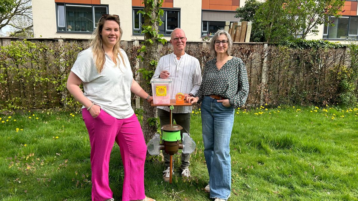 Speciale vallen moeten nieuwe nesten Aziatische hoornaar voorkomen