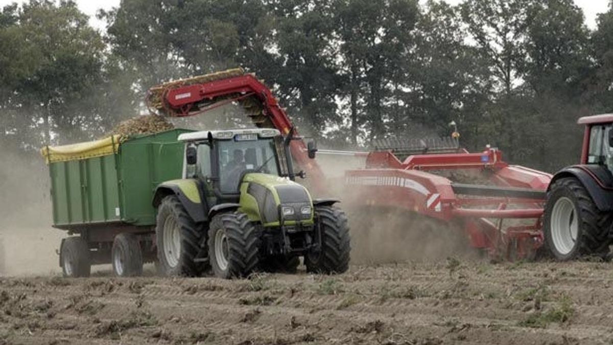 Vakbond NAV: het gaat goed met de akkerbouw