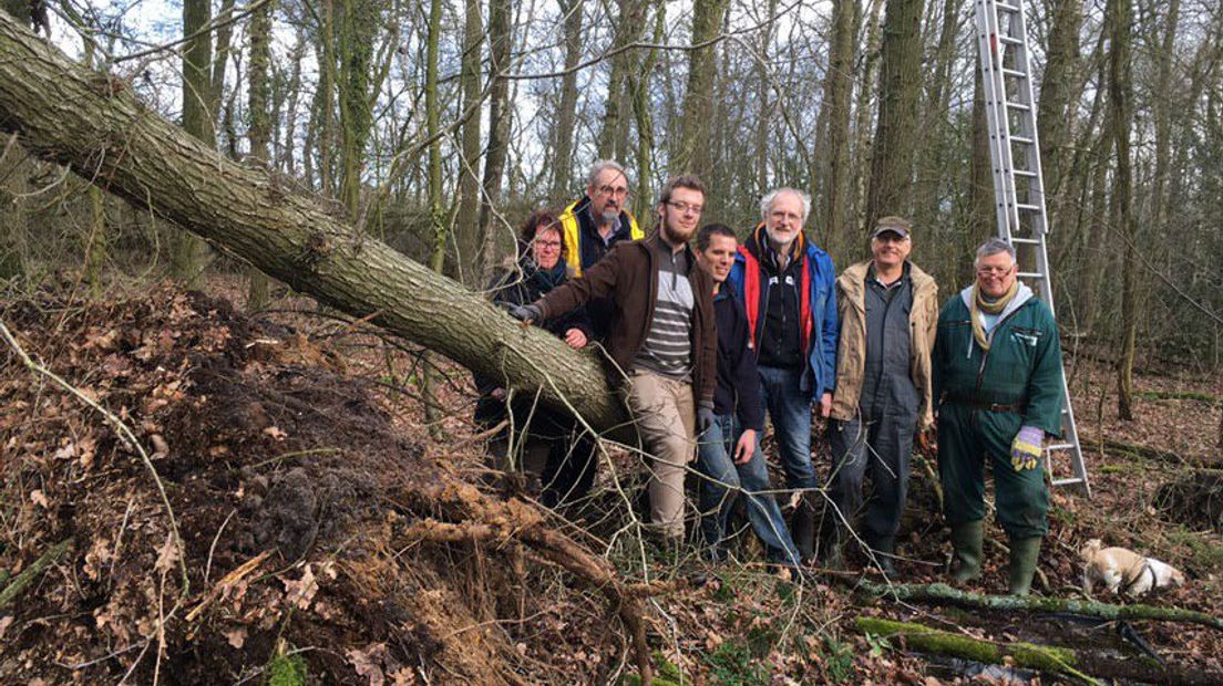 Medewerkers van Stichting Vrijwillig Bosbeheer Noord-Nederland beheren het Kogelbergveen (Rechten: RTV Drenthe/Annelies Hemeltjen)