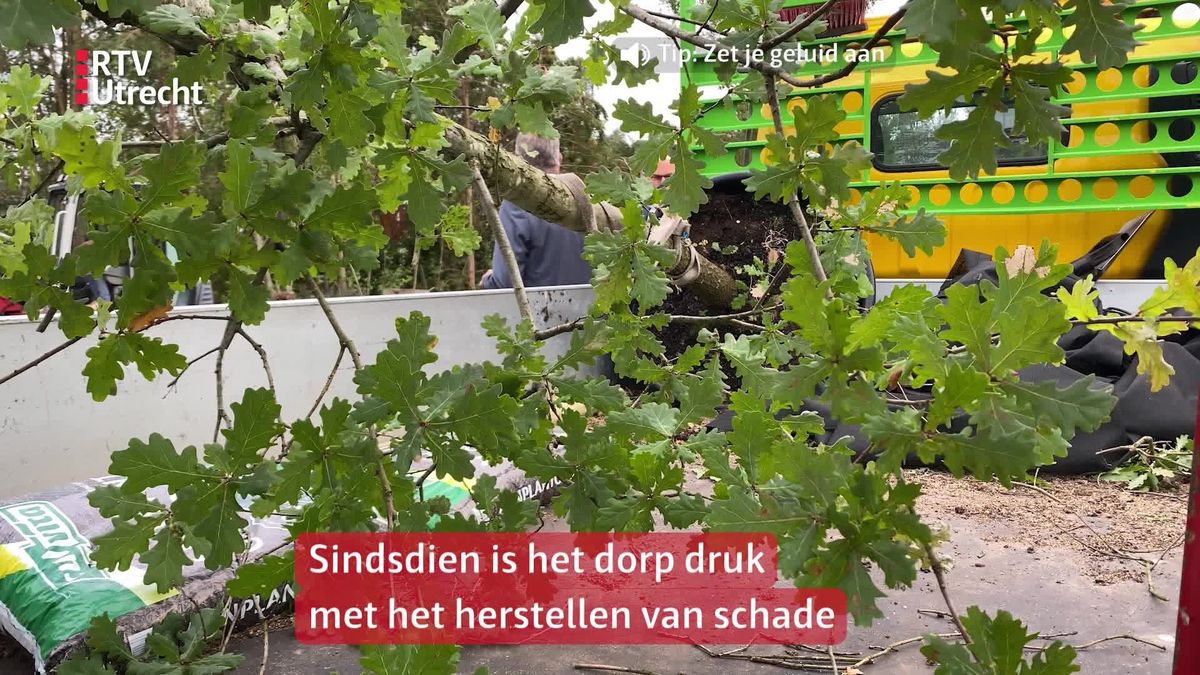 Gulle gevers doneerden al 150 bomen aan Leersum