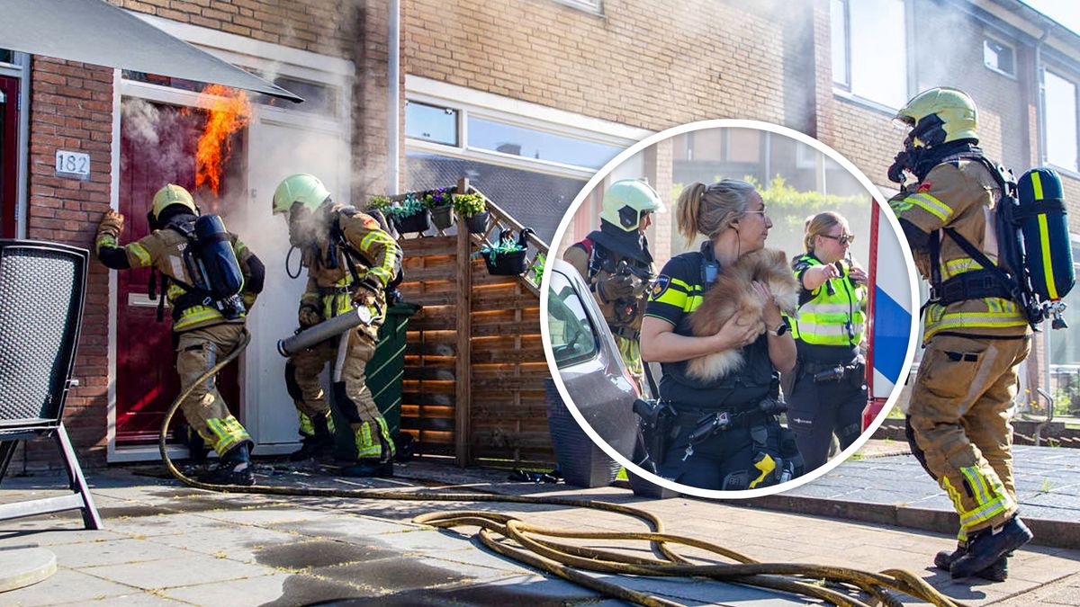112 Nieuws: Brandweer red hond uit brandende woning | Ongeval met motor in Hengelo
