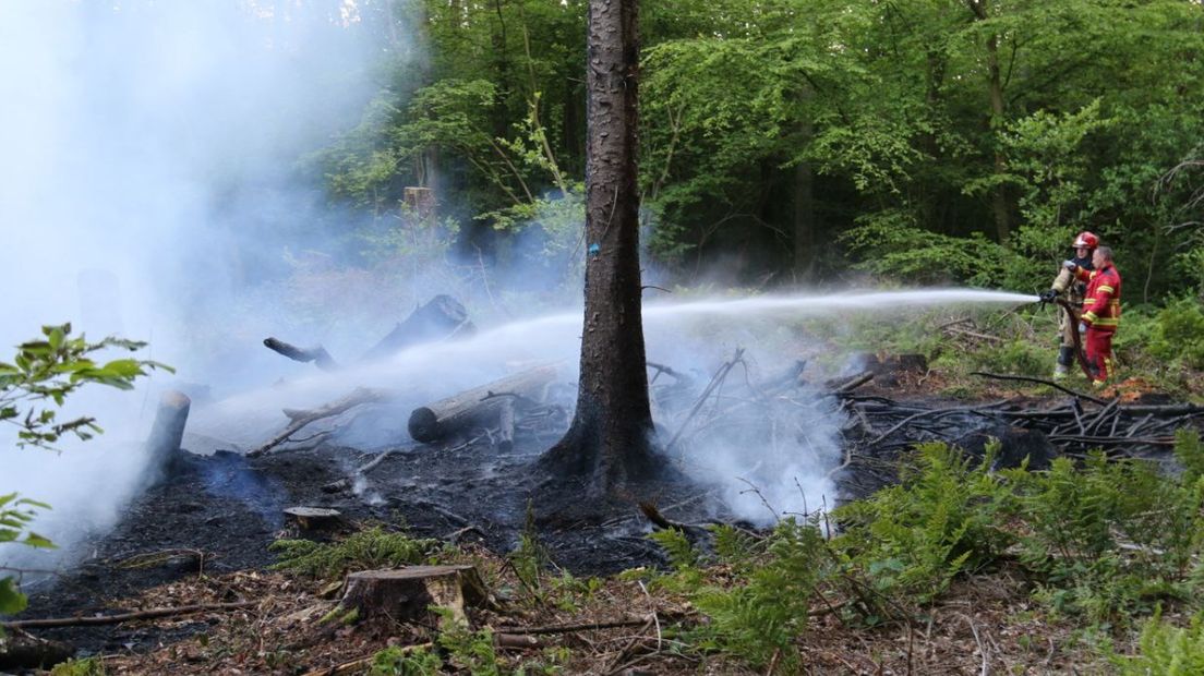 De brandweer blust het bosbrandje