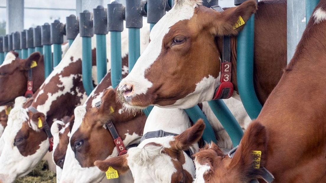 Waarom zijn er steeds minder boeren?