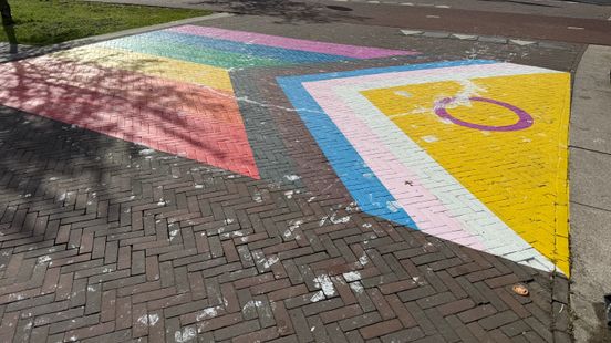 Hij lag er nog maar net en is nu al beklad: Progress-vlag Deventer is vernield Nieuws