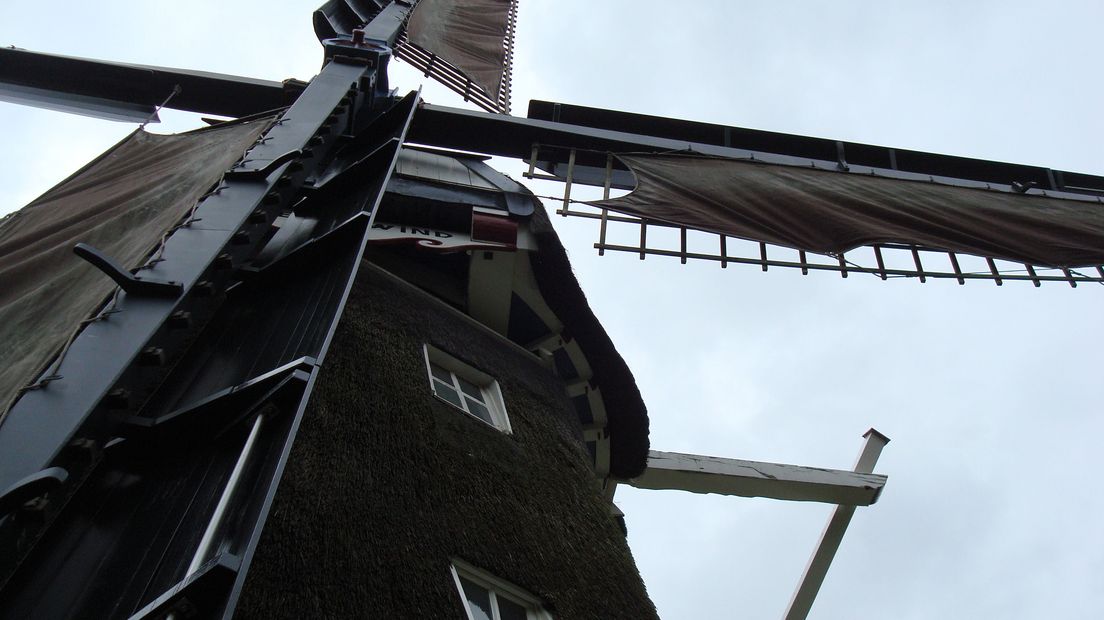 molen2_53ca9b9a085a85f8c125788d0041f2ef.jpg