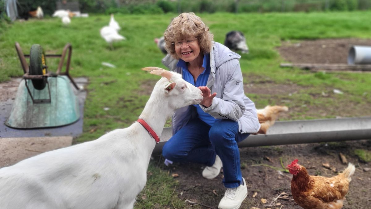 Dierenweide moet wijken voor woningbouw: 'Dit wordt een versteend geheel en dat past echt niet'