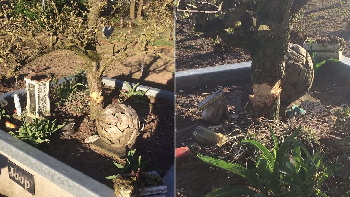 Vernieling aan monument voor overleden Joop (19)