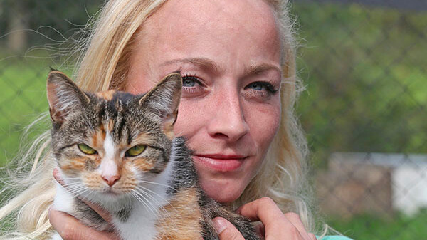 Friezen nei Limboarch om 52 katten te rêden: "Se ha it park oernaam, mar binne net kastrearre"