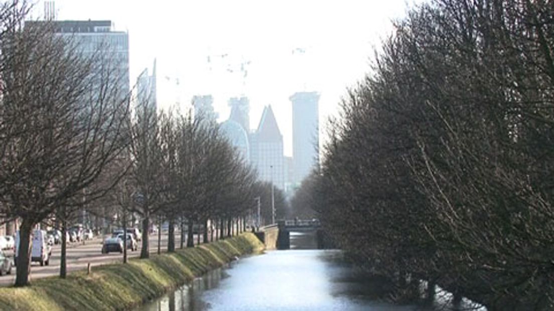 Bomen-koninginnegracht-kast