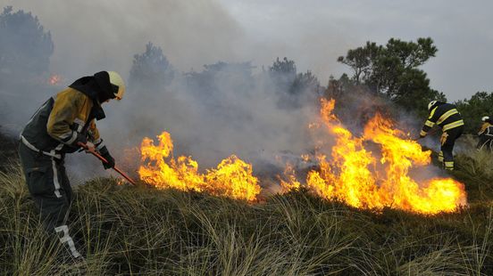 Duinbranden zijn moeilijk te bestrijden: 'Het vuur ging tegen de wind in' Home