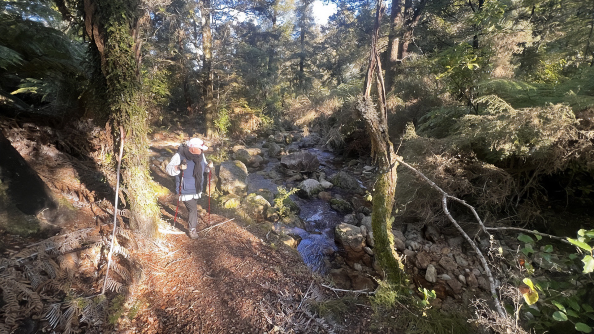 Abel Tasmanpark