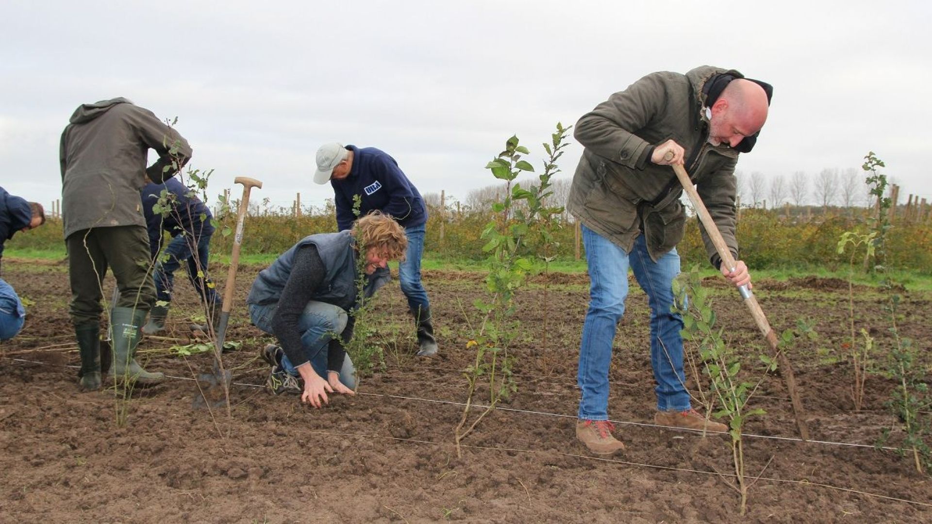 Vrijwilligers gezocht voor 25e editie Nationale Natuurwerkdagen in Achterhoek en Liemers.