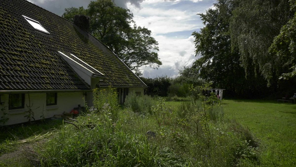 Natuurtuin van de O'Hanlons in Koekange: 'Nog nooit ergens zo gelukkig geweest'