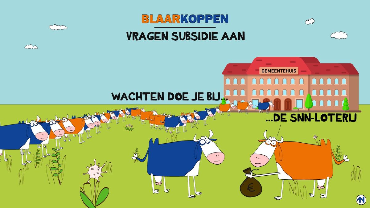 Blaarkoppen vragen SNNsubsidie aan RTV Noord
