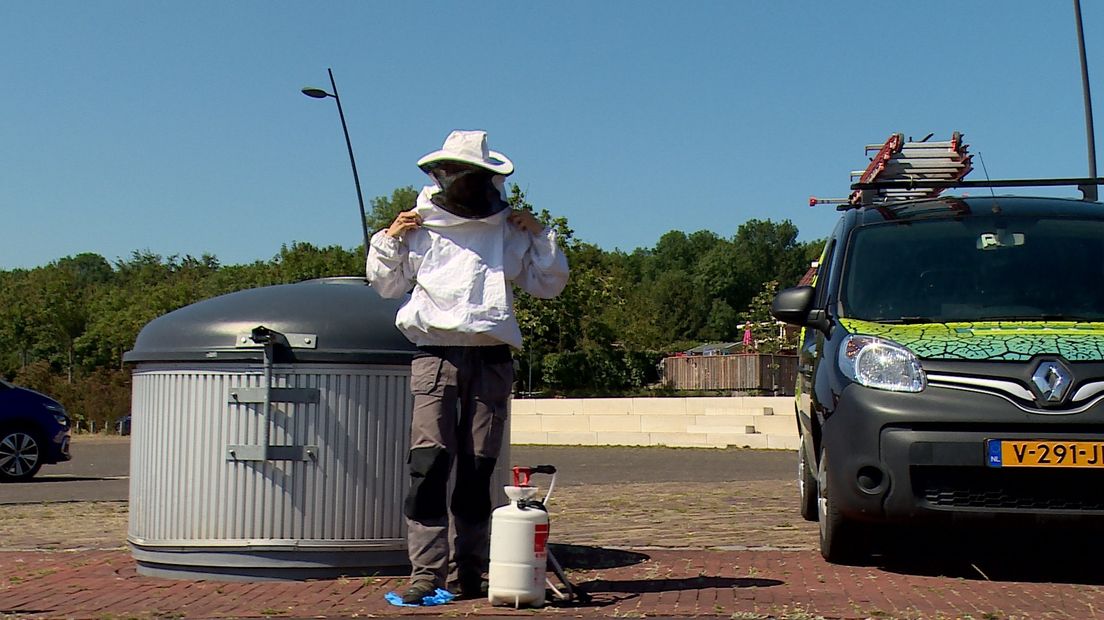 Wespenbestrijders vliegen van hot naar her