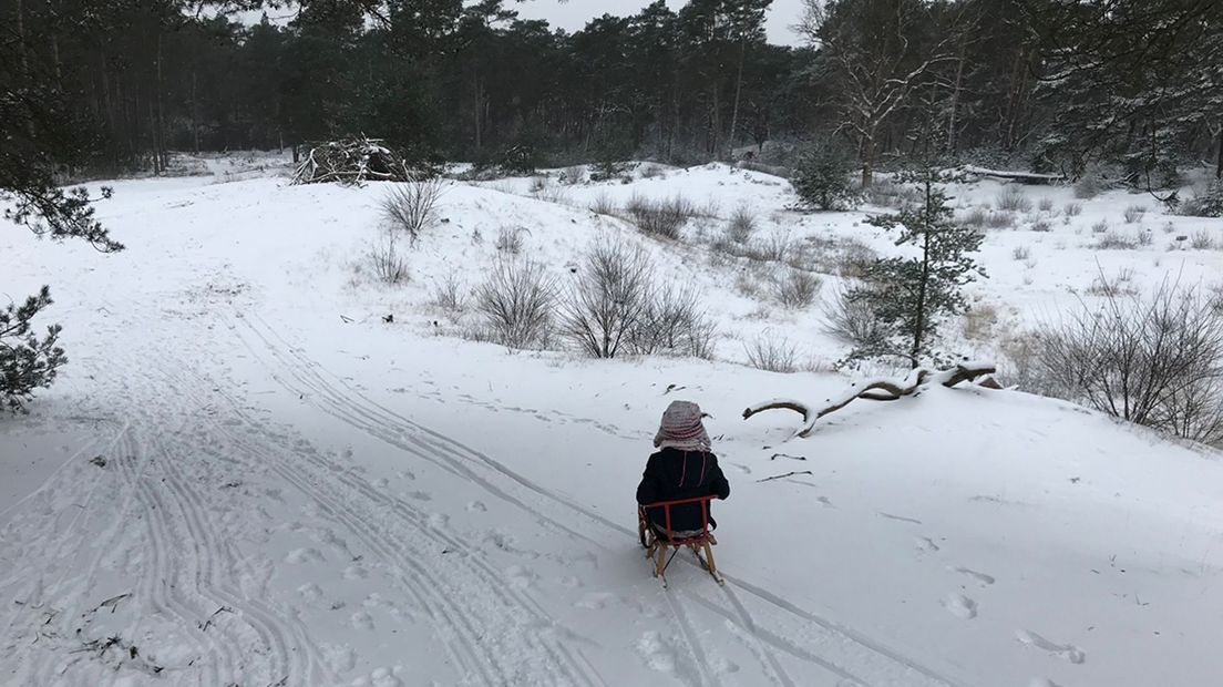 Sleeën bij landgoed Den Treek in Leusden.