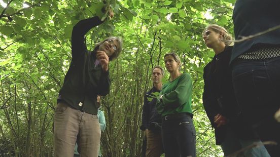 Geld voor grote voedselbossen: ‘Beter boeren, meer verdienen’