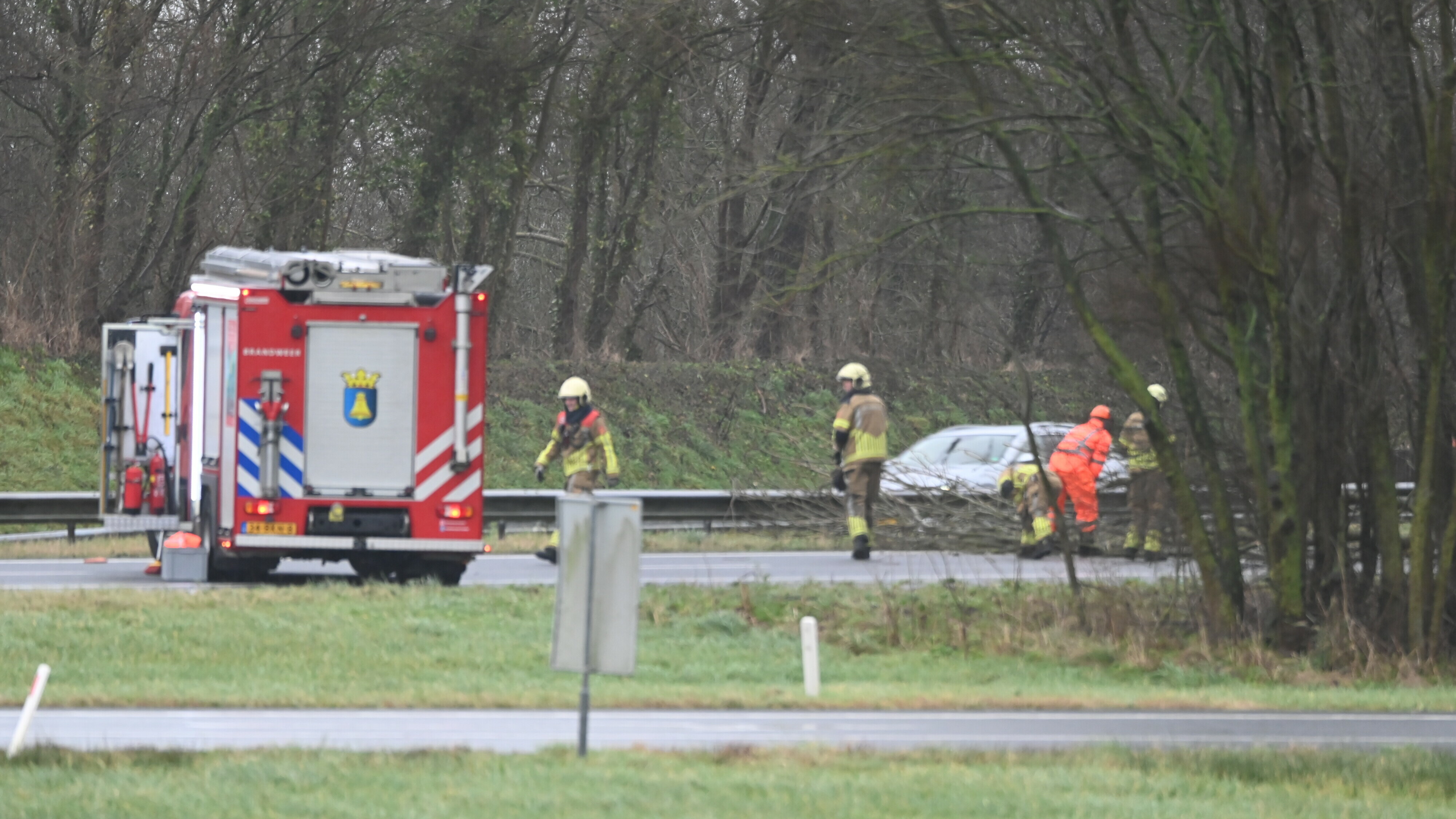 De brandweer ruimt de boom op