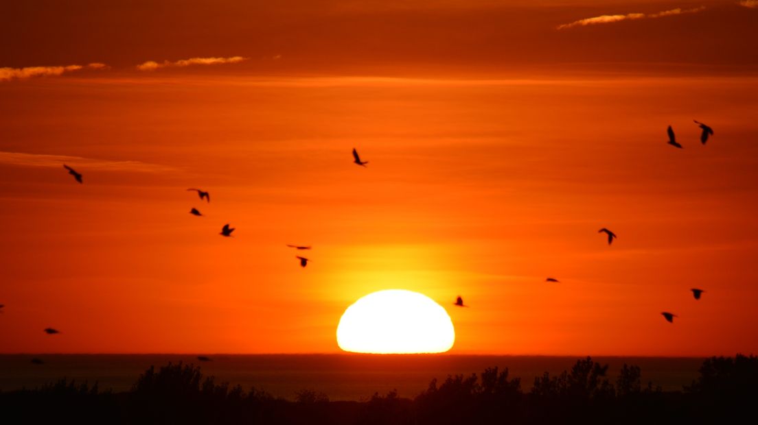 De zon in de zee zien zakken voor de kust van Vlissingen