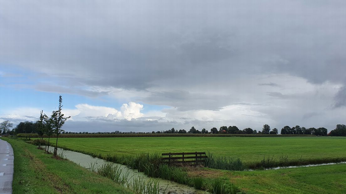 Buienluchten
