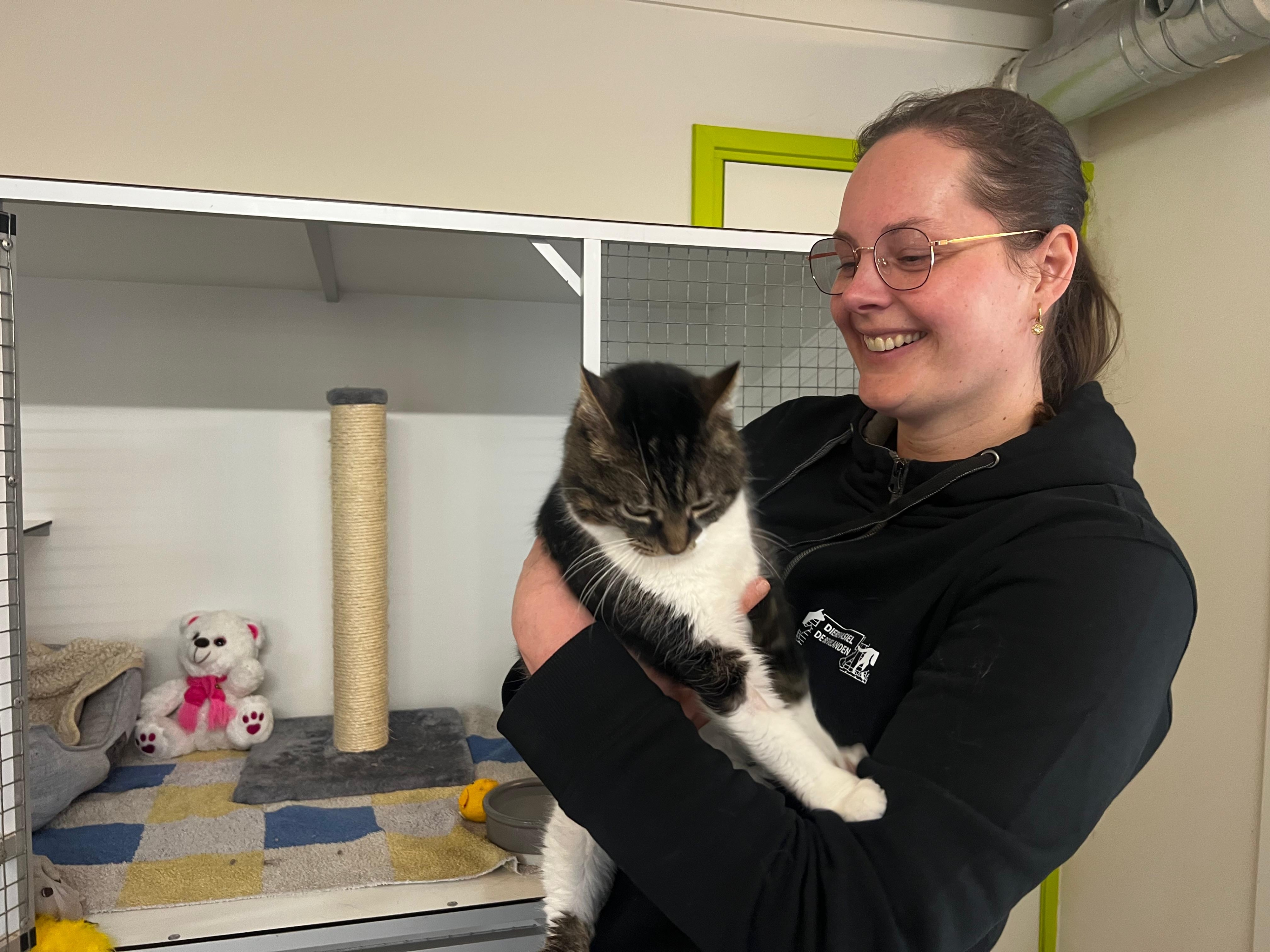 Stortvloed aan donaties voor asielpoes Rosa, operatie kan doorgaan: 'Daarna op zoek naar gouden mandje'