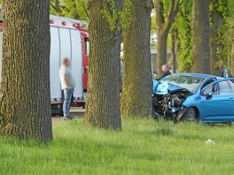 Automobilist gewond bij frontale botsing tegen boom bij Dalen