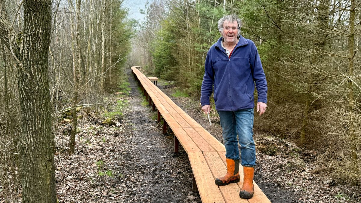 Nieuw vlonderpad in Drents-Friese Wold: 'We konden het oude wandelpad niet meer gebruiken'