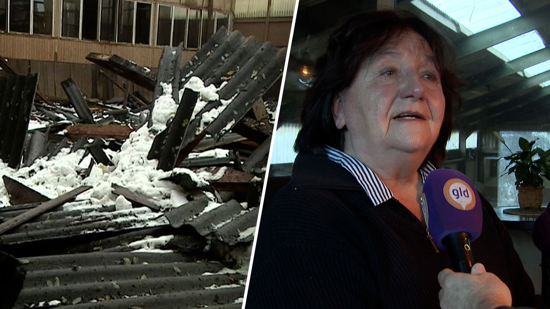 Sneeuwstorm verwoestte manege: 'Ik heb veel traantjes gelaten'