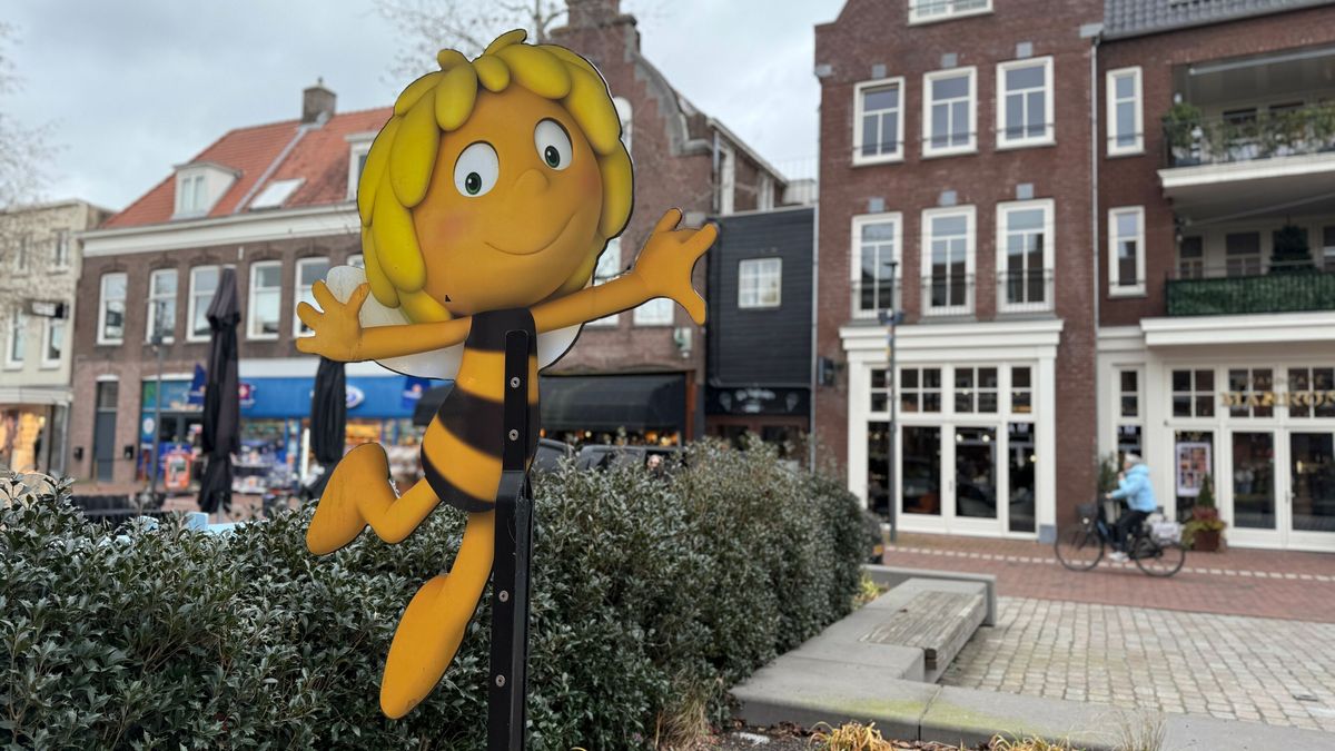 Hoogeveen wil Maya vervangen door eigen bij