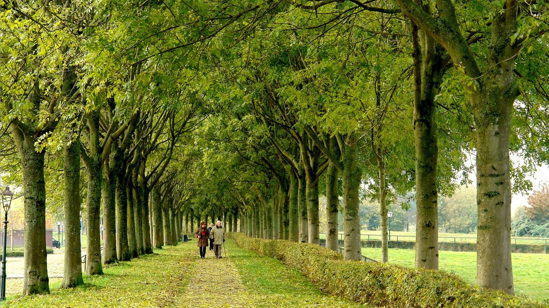 Herfst in Veere