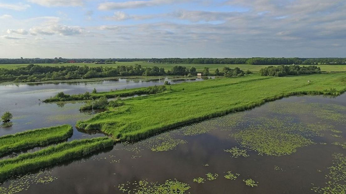 Nationaal Park Weerribben-Wieden is het grootste wetland van Overijssel.